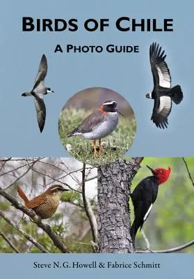 Chile madarai: A Photo Guide - Birds of Chile: A Photo Guide