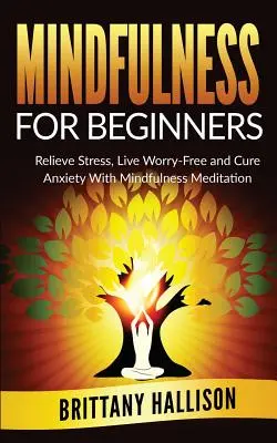 MINDFULNESS kezdőknek: Stresszoldás, aggodalommentes élet és szorongás gyógyítása a mindfulness meditációval - MINDFULNESS For Beginners: Relieve Stress, Live Worry-Free and Cure Anxiety with Mindfulness Meditation