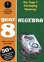 Algebra: 8. évfolyam - Algebra: Year 8