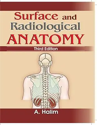 Felszíni és radiológiai anatómia - Surface and Radiological Anatomy