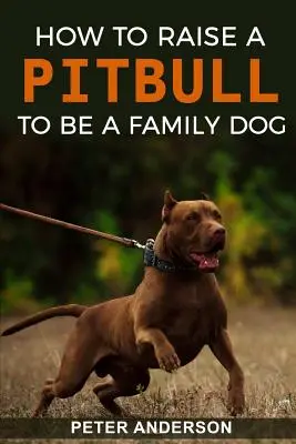 Hogyan neveljünk fel egy pitbullt családi kutyává? - How To Raise A Pitbull To Be A Familly Dog