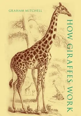 Hogyan működnek a zsiráfok - How Giraffes Work