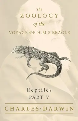 Hüllők - V. rész - A H.M.S. Beagle útjának állattana - Reptiles - Part V - The Zoology of the Voyage of H.M.S Beagle