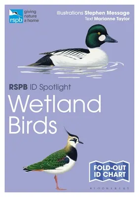 Rspb Id Spotlight - Vizes élőhelyek madarai - Rspb Id Spotlight - Wetland Birds