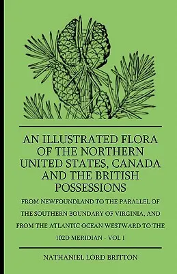 Az Egyesült Államok északi részének, Kanadának és a brit birtokoknak illusztrált növényvilága - Új-Fundlandtól a déli határ párhuzamáig - An Illustrated Flora Of The Northern United States, Canada And The British Possessions - From Newfoundland To The Parallel Of The Southern Boundary Of