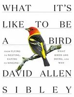 Milyen érzés madárnak lenni: A repüléstől a fészkelésig, az evéstől az éneklésig - Mit csinálnak a madarak, és miért? - What It's Like to Be a Bird: From Flying to Nesting, Eating to Singing--What Birds Are Doing, and Why