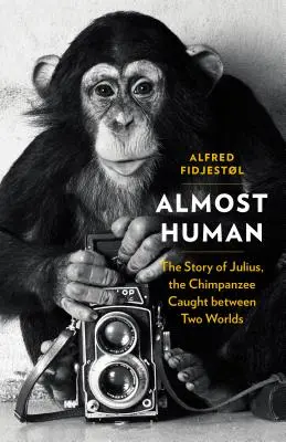 Majdnem ember: Julius, a két világ között rekedt csimpánz története - Almost Human: The Story of Julius, the Chimpanzee Caught Between Two Worlds