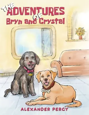 Bryn és Crystal kalandjai - The Adventures of Bryn and Crystal