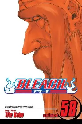 Bleach, 58. kötet, 58 - Bleach, Vol. 58, 58