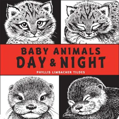 Babaállatok nappal és éjszaka - Baby Animals Day & Night