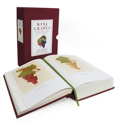 Borszőlő: Teljes útmutató 1368 szőlőfajtáról, beleértve eredetüket és ízvilágukat is - Wine Grapes: A Complete Guide to 1,368 Vine Varieties, Including Their Origins and Flavours