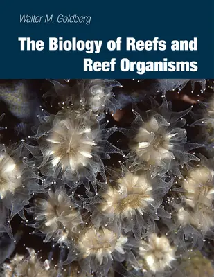 A zátonyok és zátonyszervezetek biológiája - Biology of Reefs and Reef Organisms