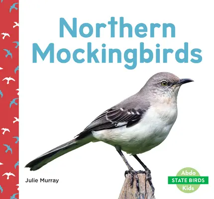 Északi gúnyamadarak - Northern Mockingbirds