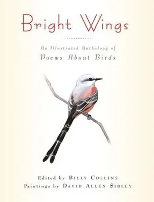 Bright Wings: Eine illustrierte Anthologie von Gedichten über Vögel - Bright Wings: An Illustrated Anthology of Poems about Birds