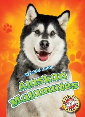 Alaszkai malamutok Alaszkai malamutok - Alaskan Malamutes Alaskan Malamutes