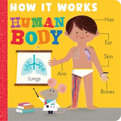 Hogyan működik? Az emberi test - How It Works: Human Body