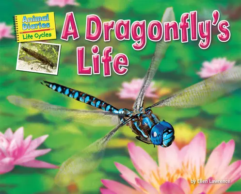 Egy szitakötő élete - A Dragonfly's Life