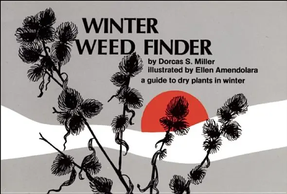 Téli gyomkereső: A Guide to Dry Plants in Winter - Winter Weed Finder: A Guide to Dry Plants in Winter