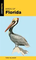 Florida madarai - Birds of Florida