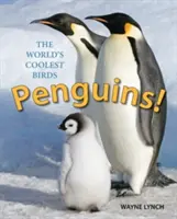 Pingvinek! A világ legmenőbb madarai - Penguins!: The World's Coolest Birds