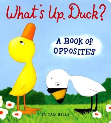 Mi újság, kacsa?: Egy könyv az ellentétekről - What's Up, Duck?: A Book of Opposites