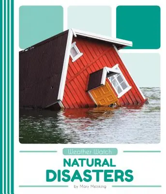 Természeti katasztrófák - Natural Disasters