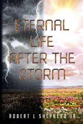 Věčný život po bouři: Kniha o cestě křesťana od narození k věčnému životu - Eternal Life After The Storm: A Book of a Christian's Journey from Birth to Eternal Life