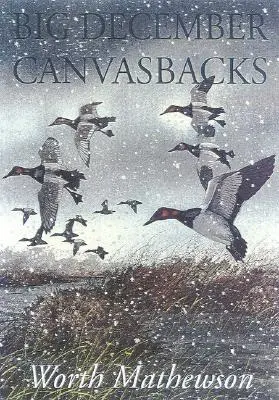 Nagy decemberi vászonhátúak, átdolgozott változat - Big December Canvasbacks, Revised