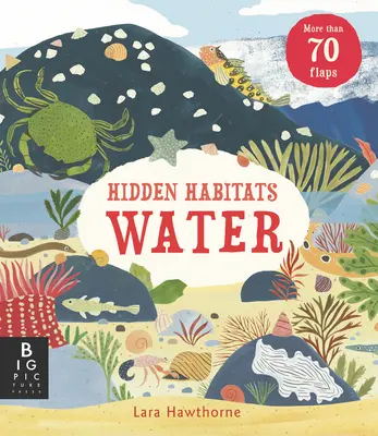 Rejtett élőhelyek: Víz - Hidden Habitats: Water