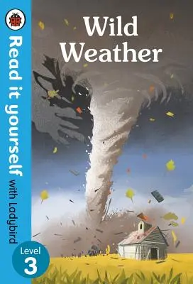 Vad időjárás: szint - Wild Weather: Level 3