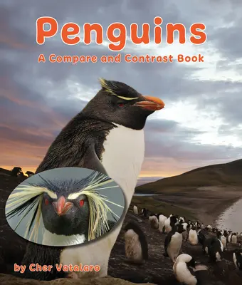 Pingvinek: A Compare and Contrast Book - Penguins: A Compare and Contrast Book