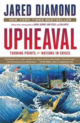 Felfordulás: fordulópontok a válságban lévő nemzetek számára - Upheaval: Turning Points for Nations in Crisis