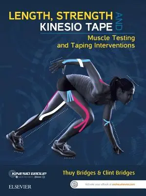 Hosszúság, erő és Kinesio Tape: Izomtesztelés és szalagos beavatkozások - Length, Strength and Kinesio Tape: Muscle Testing and Taping Interventions