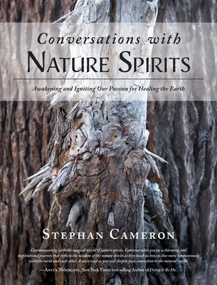 Gespräche mit den Naturgeistern: Erweckung und Entfachung unserer Leidenschaft für die Heilung der Erde - Conversations with Nature Spirits: Awakening and Igniting Our Passion for Healing the Earth