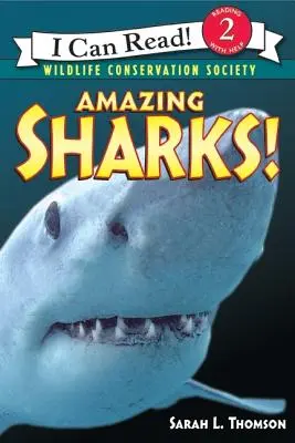 Csodálatos cápák! - Amazing Sharks!