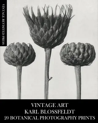 Vintage Art: Karl Blossfeldt 20 botanikai fotónyomtatványok - Vintage Art: Karl Blossfeldt 20 Botanical Photography Prints