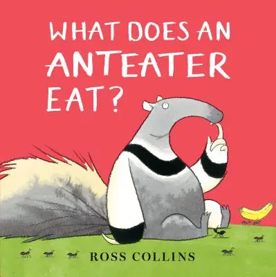 Mit eszik egy hangyászevő? - What Does an Anteater Eat?