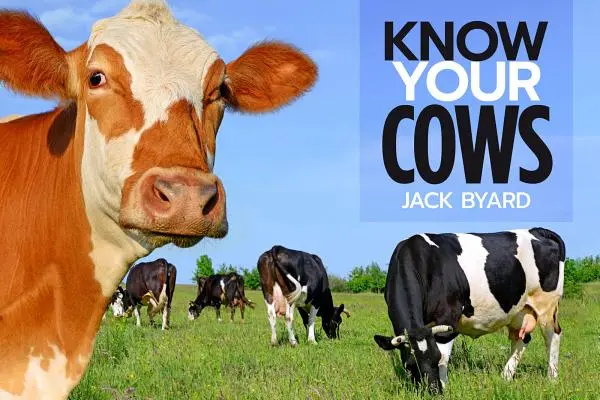 Ismerd meg a teheneidet - Know Your Cows