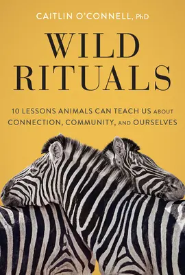 Vad rituálék: 10 lecke, amit az állatok taníthatnak nekünk a kapcsolatról, a közösségről és önmagunkról - Wild Rituals: 10 Lessons Animals Can Teach Us about Connection, Community, and Ourselves