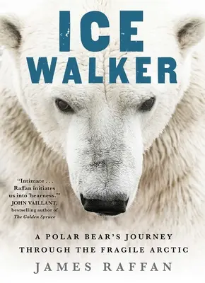 Ice Walker: Egy jegesmedve utazása a törékeny sarkvidéken keresztül - Ice Walker: A Polar Bear's Journey Through the Fragile Arctic