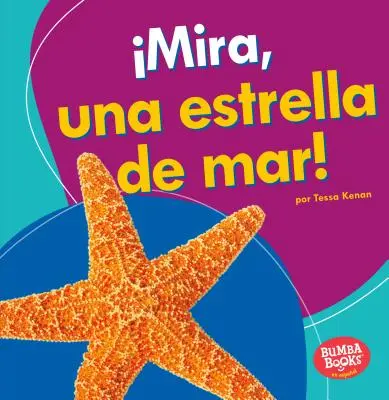 Mira, Una Estrella de Mar! (Nézd, egy tengeri csillag!) - Mira, Una Estrella de Mar! (Look, a Starfish!)