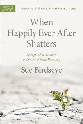 Amikor a boldogság szétesik: Isten meglátása a válás és az egyedülálló szülői lét közepette - When Happily Ever After Shatters: Seeing God in the Midst of Divorce & Single Parenting