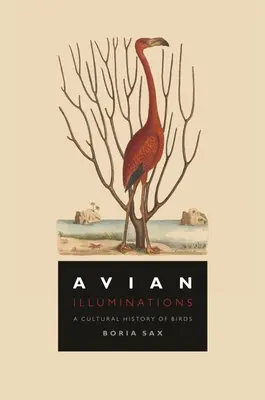 Madárvilágítás: A madarak kultúrtörténete - Avian Illuminations: A Cultural History of Birds