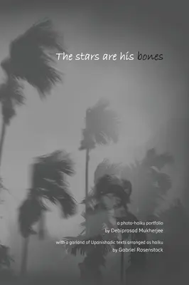 A csillagok a csontjai: hangulatos fotó-haiku monográfia upanisadikus részletekkel - The stars are his bones: an atmospheric photo-haiku monograph with Upanishadic extracts