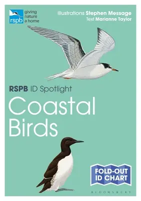 Rspb Id Spotlight - Tengerparti madarak - Rspb Id Spotlight - Coastal Birds