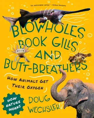 Fúvólyukak, könyvkopoltyúk és fenéklégzők: Hogyan jutnak oxigénhez az állatok - Blowholes, Book Gills, and Butt-Breathers: How Animals Get Their Oxygen