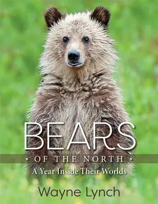 Az észak medvéi: Egy év a világukban - Bears of the North: A Year Inside Their Worlds