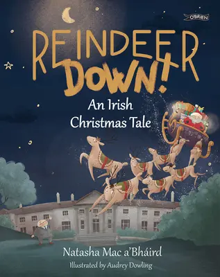 Rénszarvas lefelé! Egy ír karácsonyi mese - Reindeer Down!: An Irish Christmas Tale