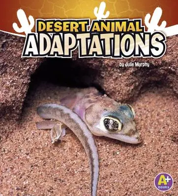 Sivatagi állatok alkalmazkodása - Desert Animal Adaptations