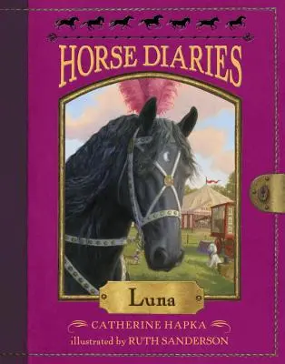 Lónaplók #12: Luna - Horse Diaries #12: Luna